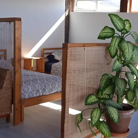 360 View To Ocean And Cliffs